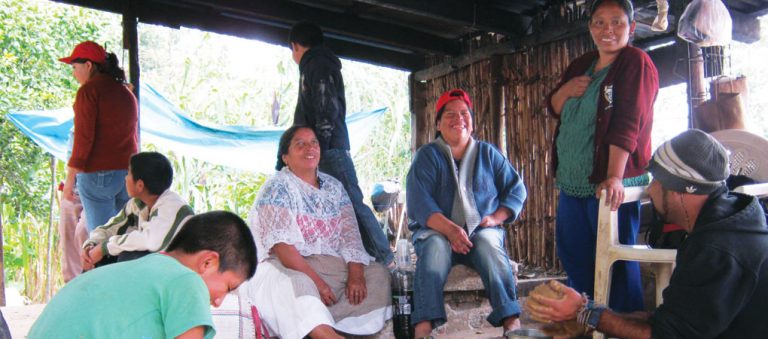 Pueblos Indígenas Construyen Sus Casas - World Habitat