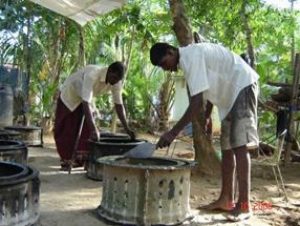 Post-tsunami Reconstruction and Rehabilitation in Sri Lanka