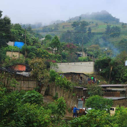 The impact of COVID-19 in Guatemala