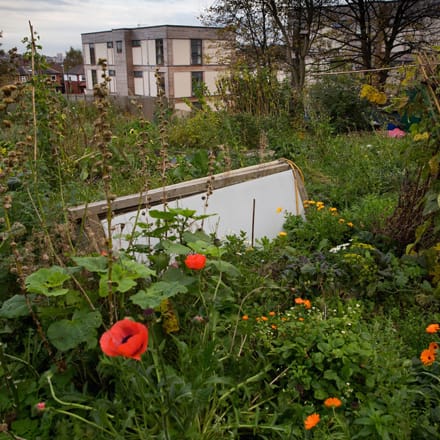 Here’s 7 World Habitat Award winners and finalists working in harmony with wildlife