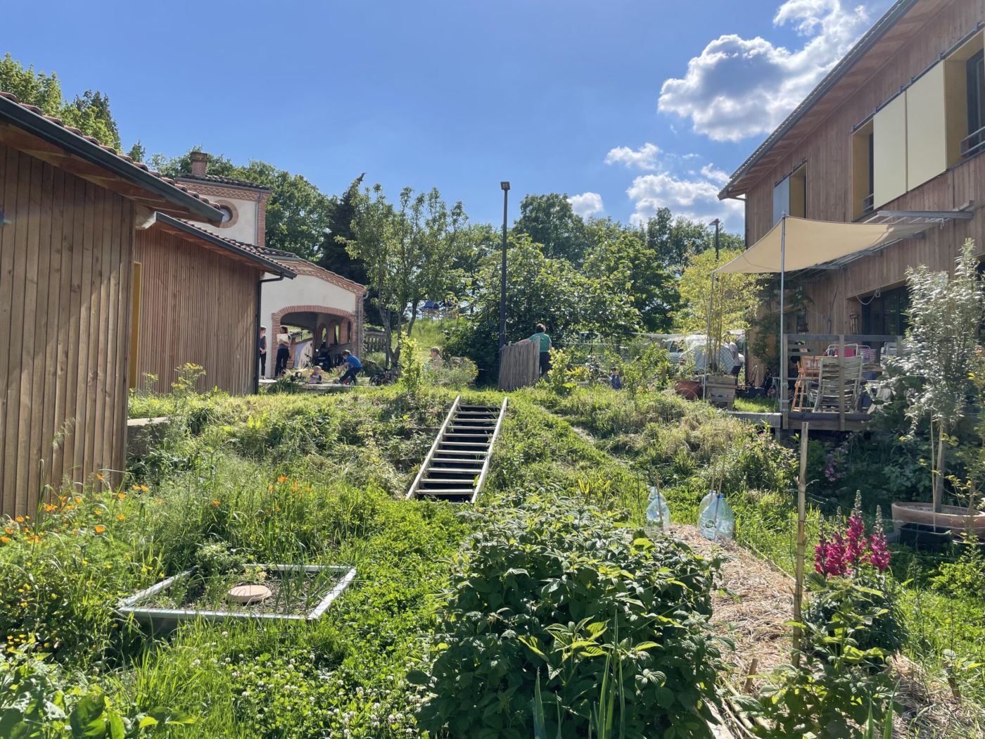 “Too expensive, too radical and not scalable”: It’s time to change the narrative on environmentally responsible construction and regenerative housing design.