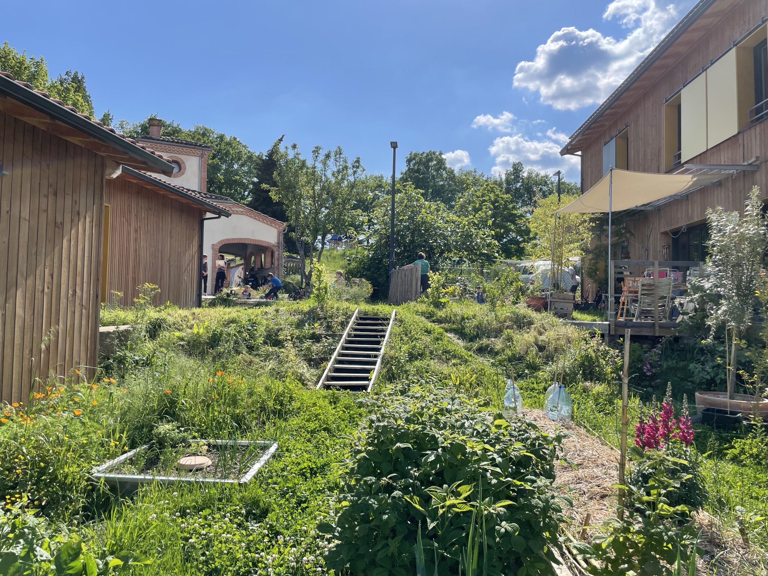 “Too expensive, too radical and not scalable”: It’s time to change the narrative on environmentally responsible construction and regenerative housing design.