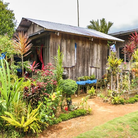 Shelter self-recovery in the Philippines – forging a path for others to follow?