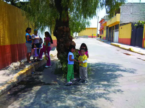 D7EA86C0-15C5-F4C0-99D29FF27EE2D86F-Community-Programme-for-Neighbourhood-Improvement-4