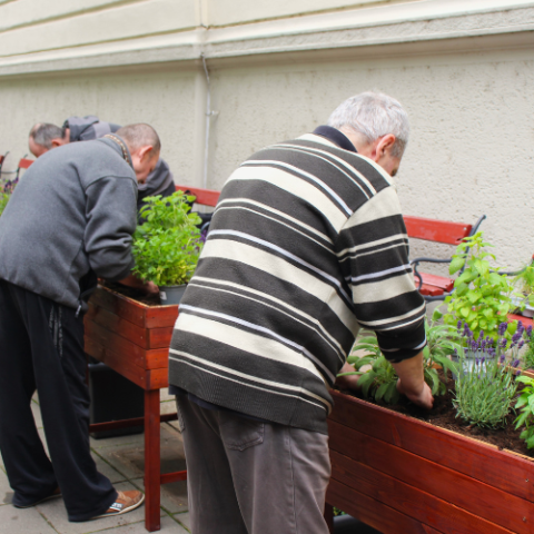 We are not invisible: Innovative approaches to end homelessness, Slovakia