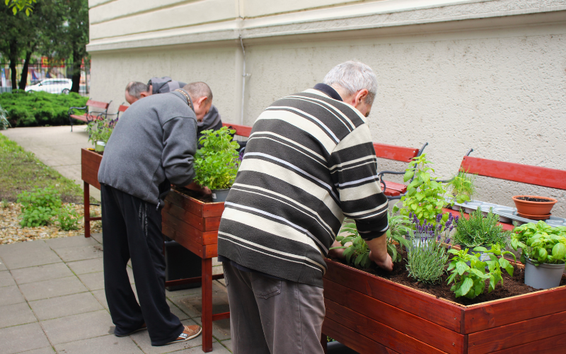 We are not invisible: Innovative approaches to end homelessness, Slovakia