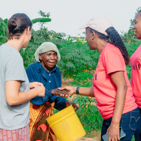 Decent Homes for the Elderly, Tanzania
