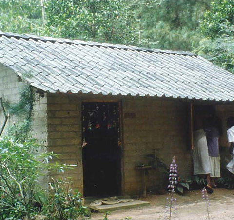 Affordable Shelter Using Timber Poles
