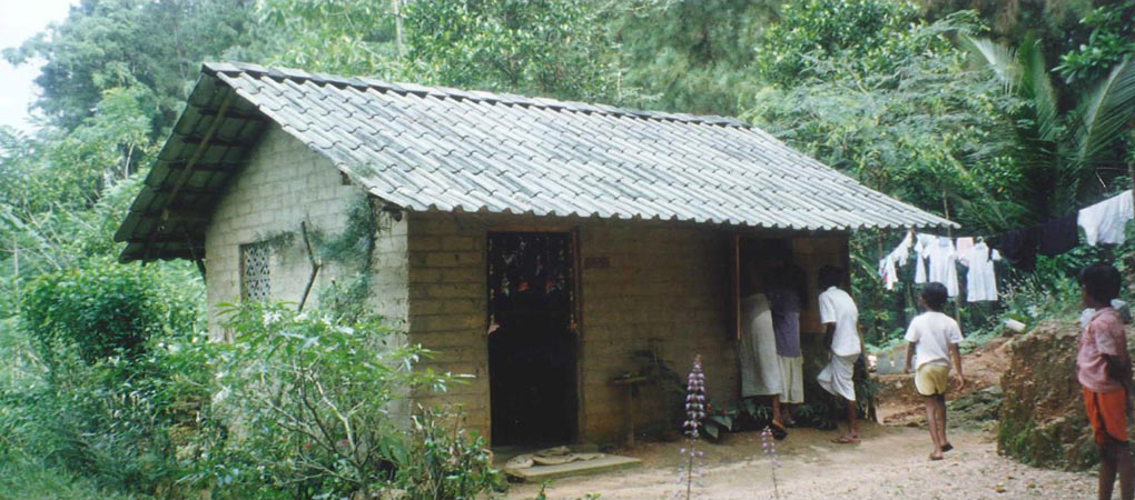 Affordable Shelter Using Timber Poles