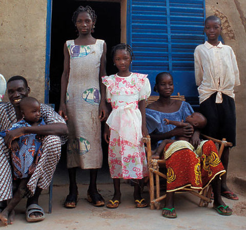 Earth Roofs for the Sahel