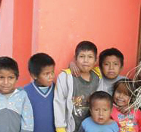 Federal Housing and Habitat Improvement Programme for Indigenous and Rural People