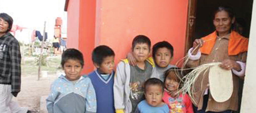 Federal Housing and Habitat Improvement Programme for Indigenous and Rural People