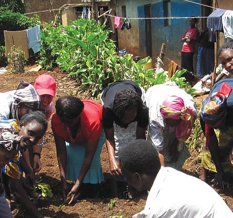 Dajopen Waste Management Project