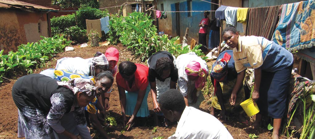 Dajopen Waste Management Project