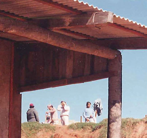 Self-help Scheme, Villa Madrid