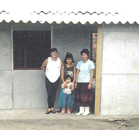 Dispersed Users Housing Programme