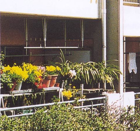 Setagaya-Ku Fukasawa Symbiotic Housing
