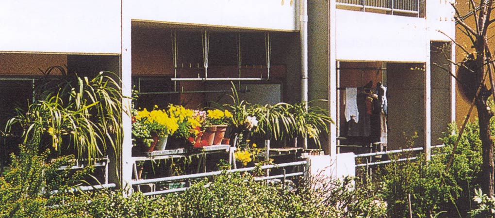 Setagaya-Ku Fukasawa Symbiotic Housing