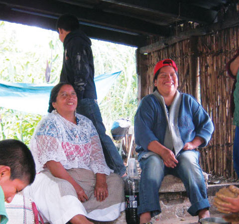 Indigenous people building their homes